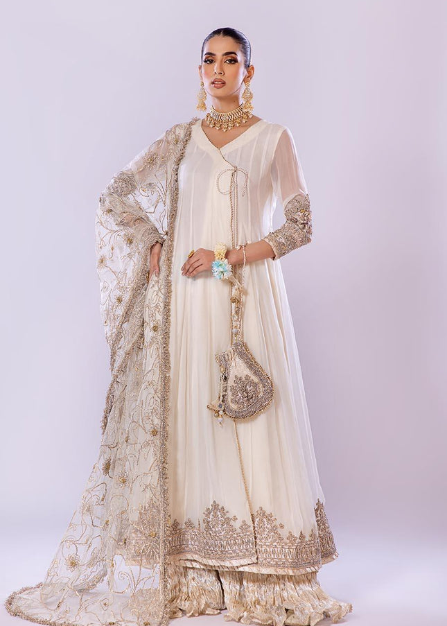 Crinkle Chiffon Hand Embroidered P-256