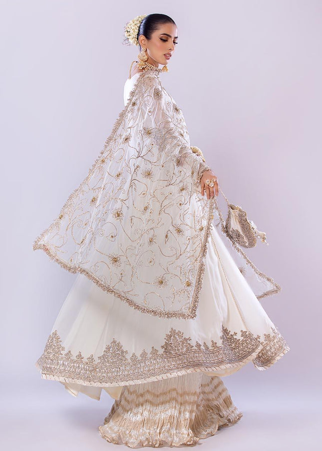 Crinkle Chiffon Hand Embroidered P-256