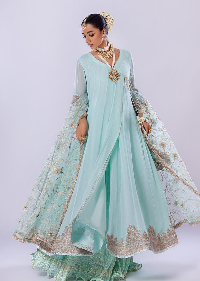 Crinkle Chiffon Hand Embroidered P-256