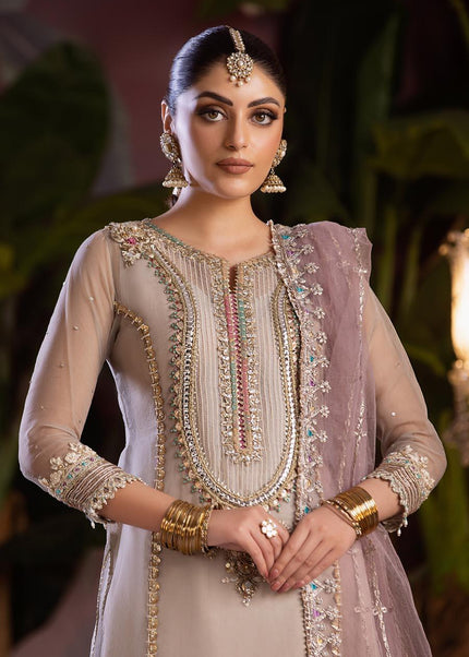 Organza Hand Embroidered P-258