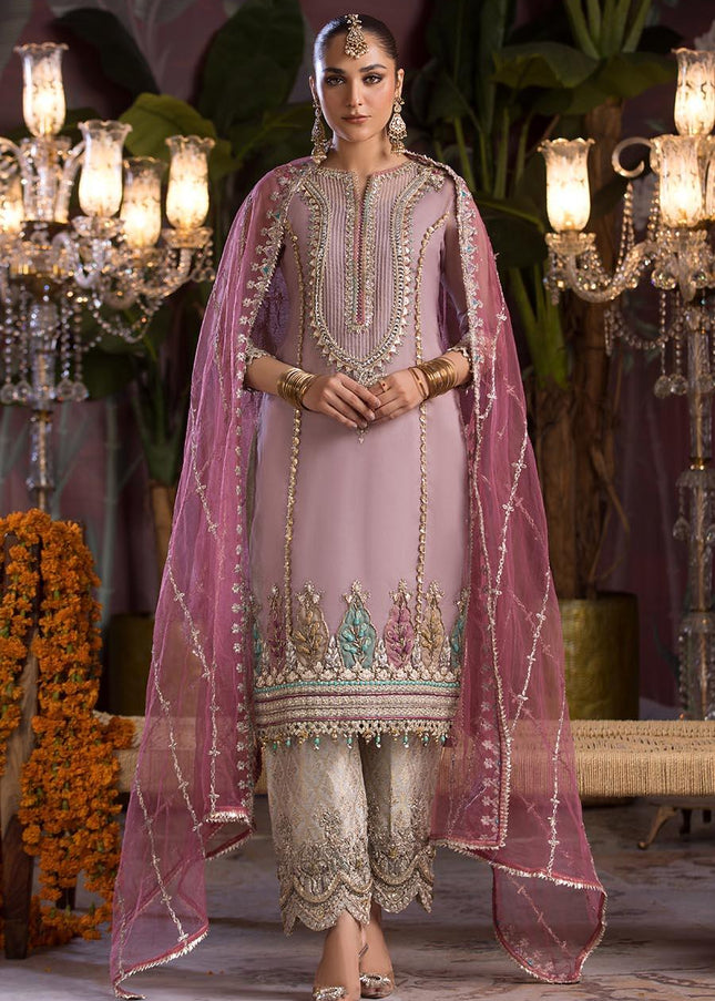 Organza Hand Embroidered P-258