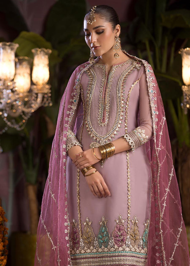 Organza Hand Embroidered P-258