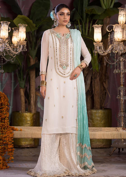 Crinkle Chiffon Hand Embroidered P-261