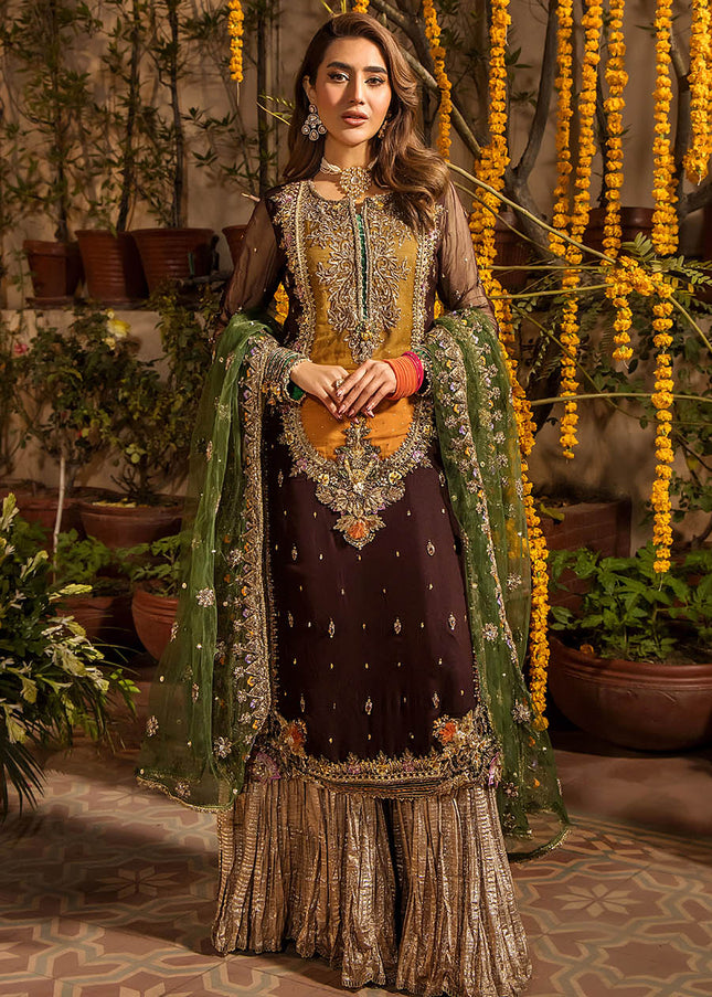 Crinke Chiffon Hand Embroidered P-265