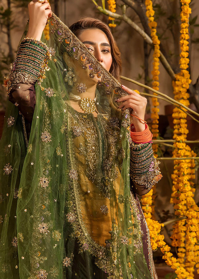 Crinke Chiffon Hand Embroidered P-265