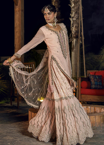 Crinkle Chiffon Hand Embroidered P-267