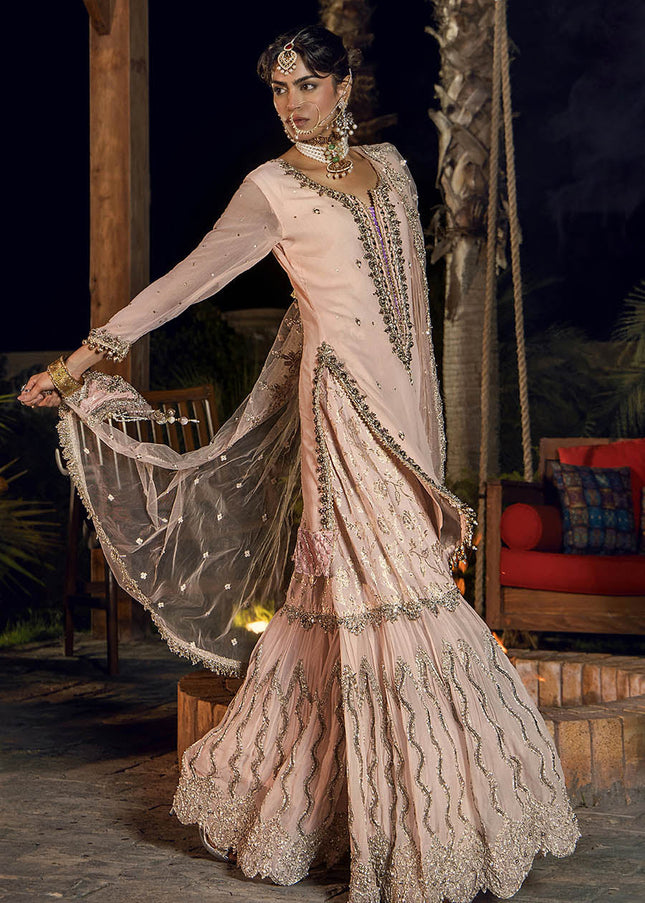 Crinkle Chiffon Hand Embroidered P-267