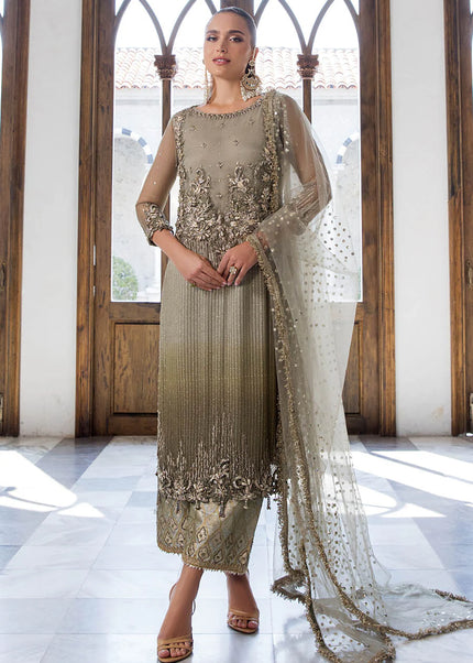 Chiffon Hand Embroidered P-282