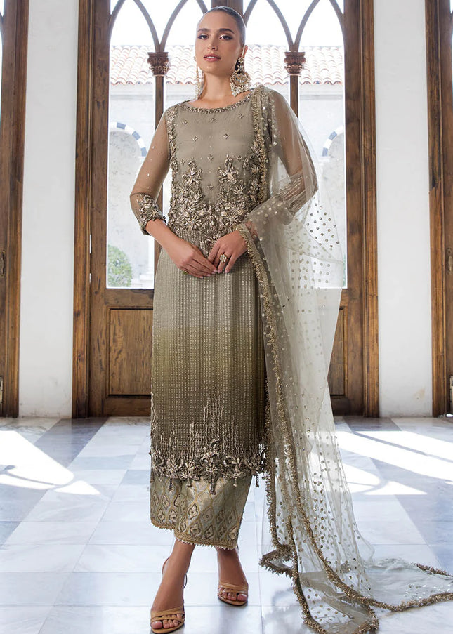 Chiffon Hand Embroidered P-282