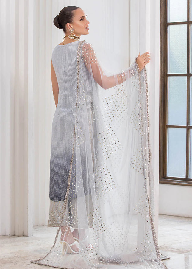 Chiffon Hand Embroidered P-282