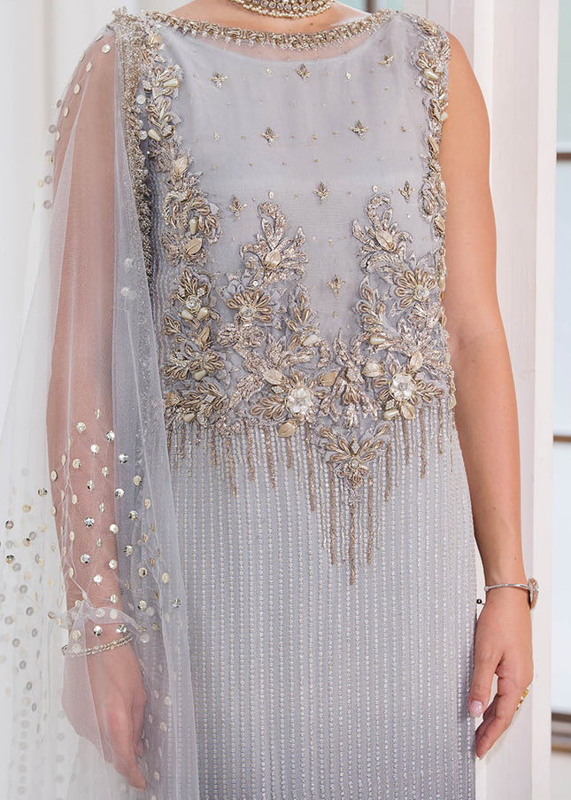 Chiffon Hand Embroidered P-282