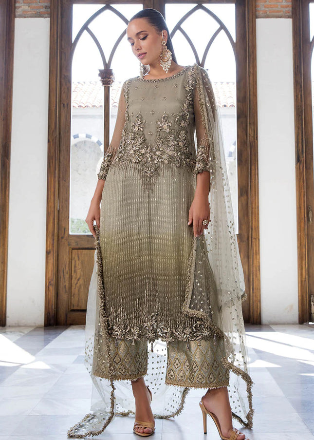 Chiffon Hand Embroidered P-282