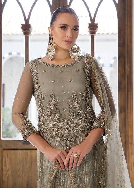 Chiffon Hand Embroidered P-282