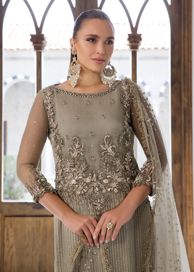 Chiffon Hand Embroidered P-282