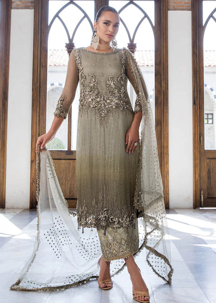 Chiffon Hand Embroidered P-282