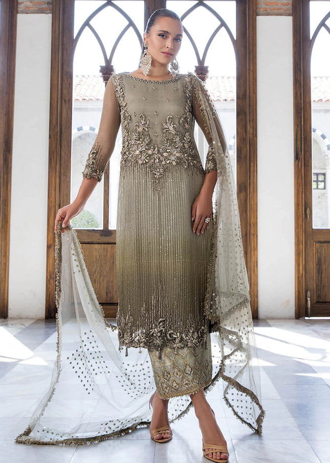 Chiffon Hand Embroidered P-282