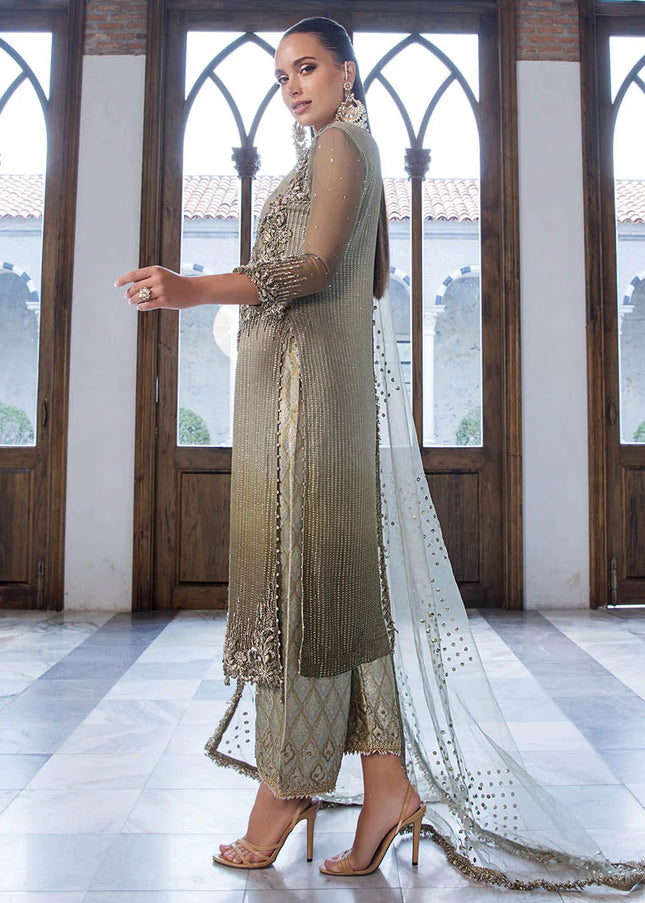 Chiffon Hand Embroidered P-282