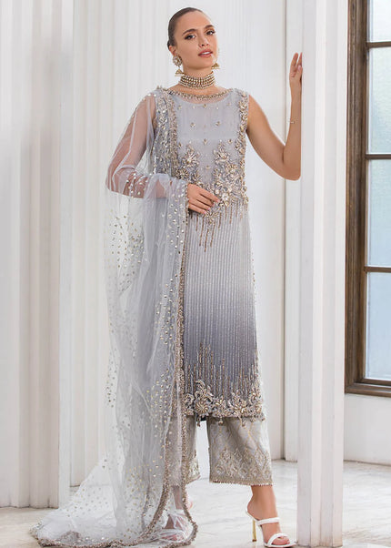 Chiffon Hand Embroidered P-282