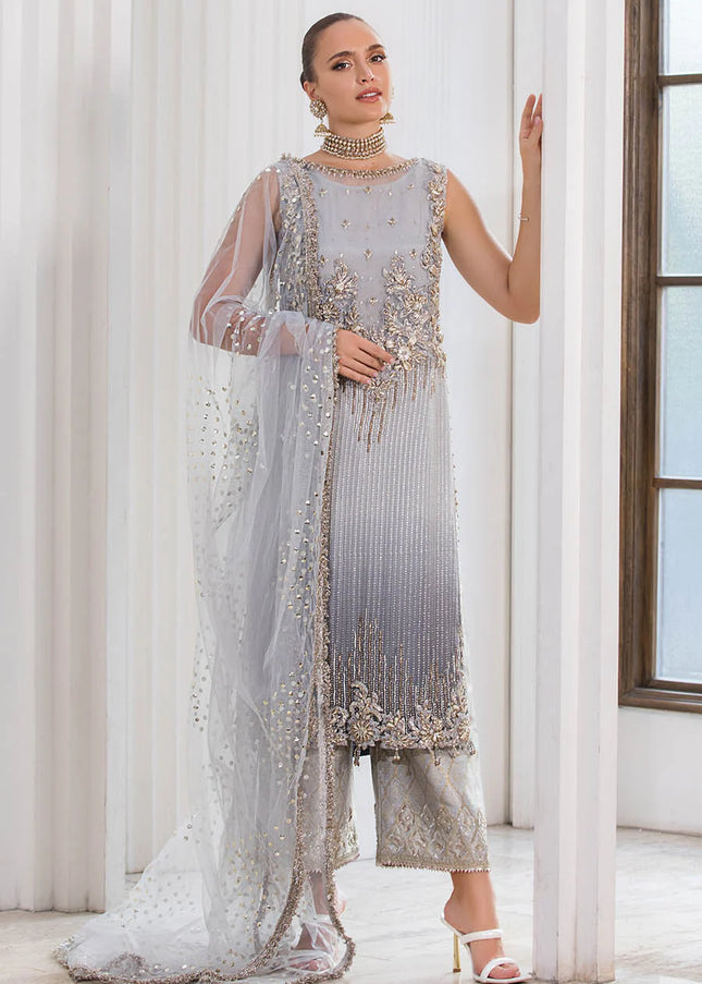 Chiffon Hand Embroidered P-282