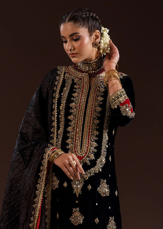 Velvet Hand Embroidered P-283