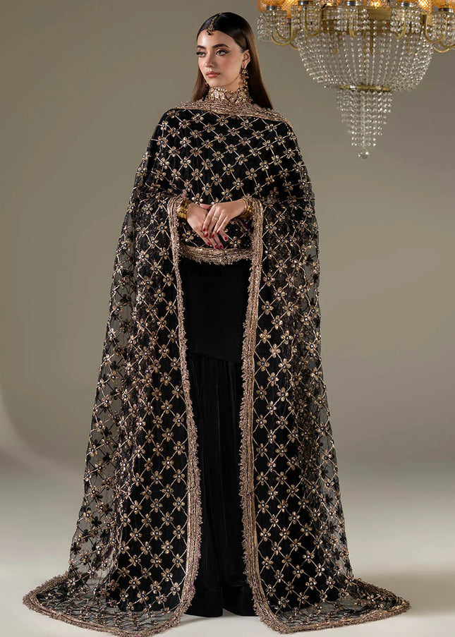 Velvet Hand Embroidered P-287