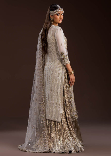 Crinkle Chiffon Hand Embroidered P-288