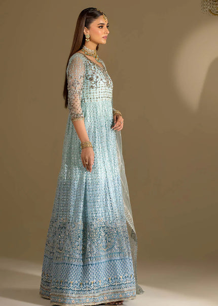 Net Hand Embroidered P-291