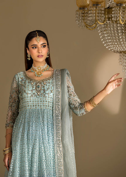 Net Hand Embroidered P-291