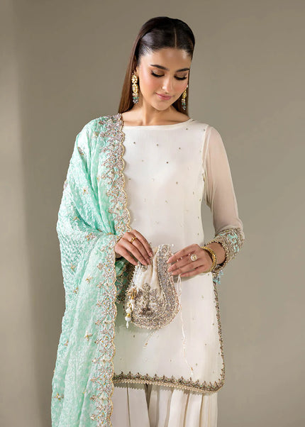 Crinkle Chiffon Hand Embroidered P-294