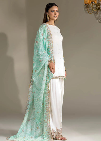 Crinkle Chiffon Hand Embroidered P-294