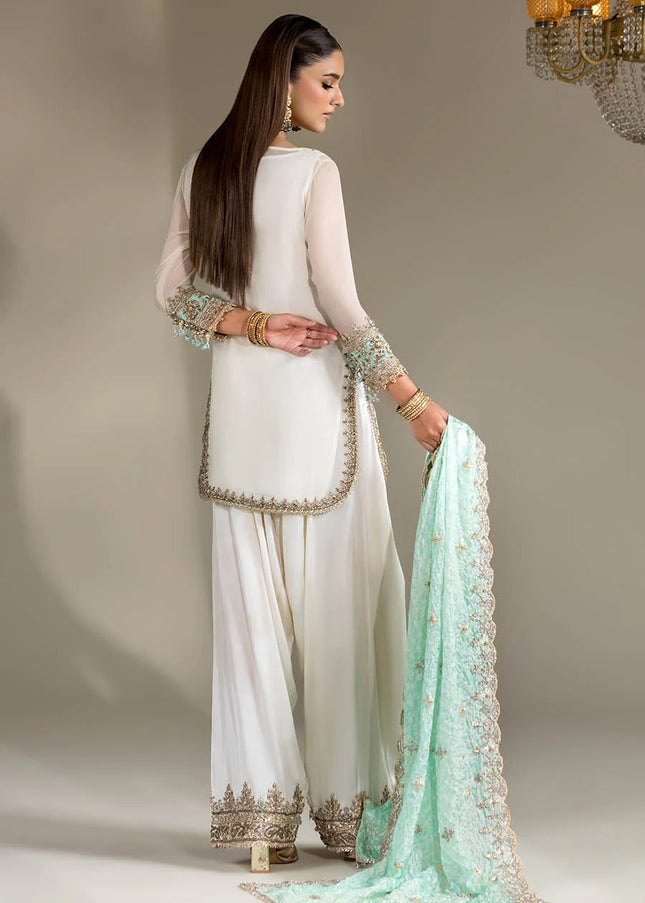 Crinkle Chiffon Hand Embroidered P-294