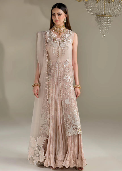 Organza Embroidered P-298