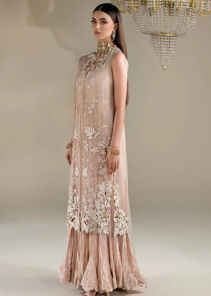Organza Embroidered P-298