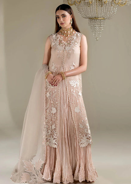 Organza Embroidered P-298