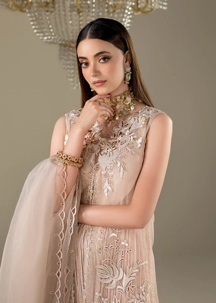 Organza Embroidered P-298