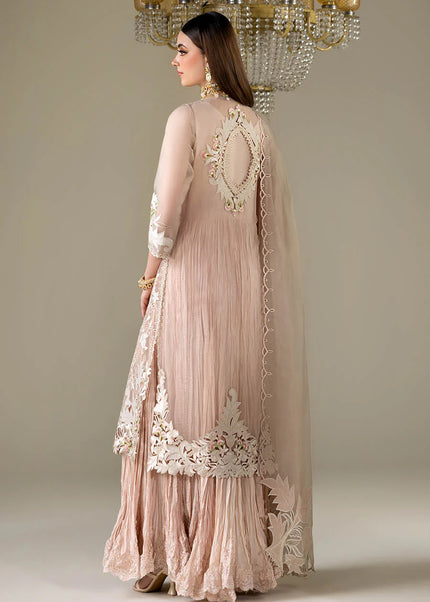 Organza Embroidered P-298