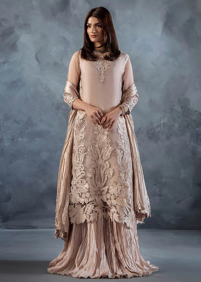 Organza Hand Embroidered P-304
