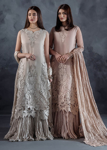 Organza Hand Embroidered P-304