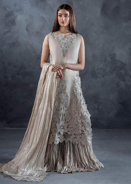 Organza Hand Embroidered P-304