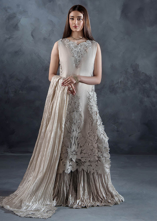 Organza Hand Embroidered P-304