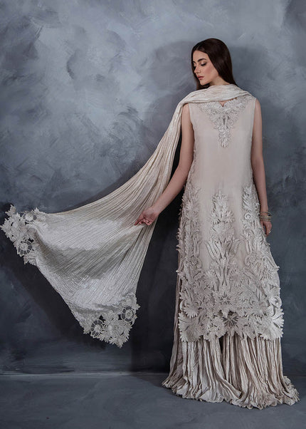 Organza Hand Embroidered P-304