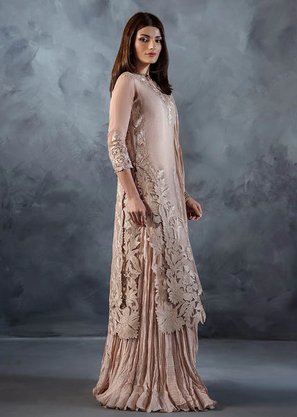 Organza Hand Embroidered P-304
