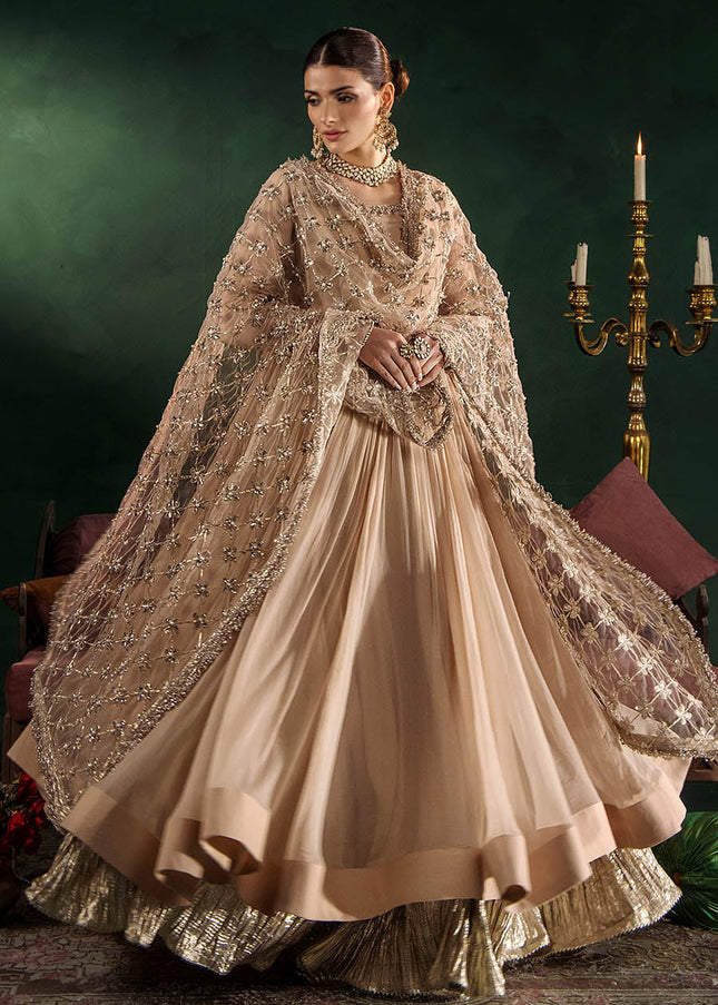 Crinkle Chiffon Hand Embroidered P-307