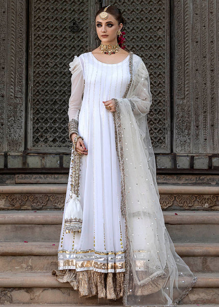 Chiffon Hand Embroidered P-318