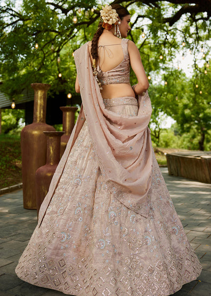 Blush Pink Embroidered Lehenga Choli