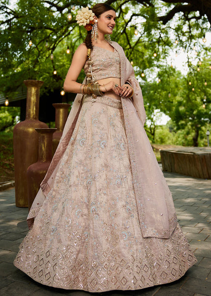 Blush Pink Embroidered Lehenga Choli