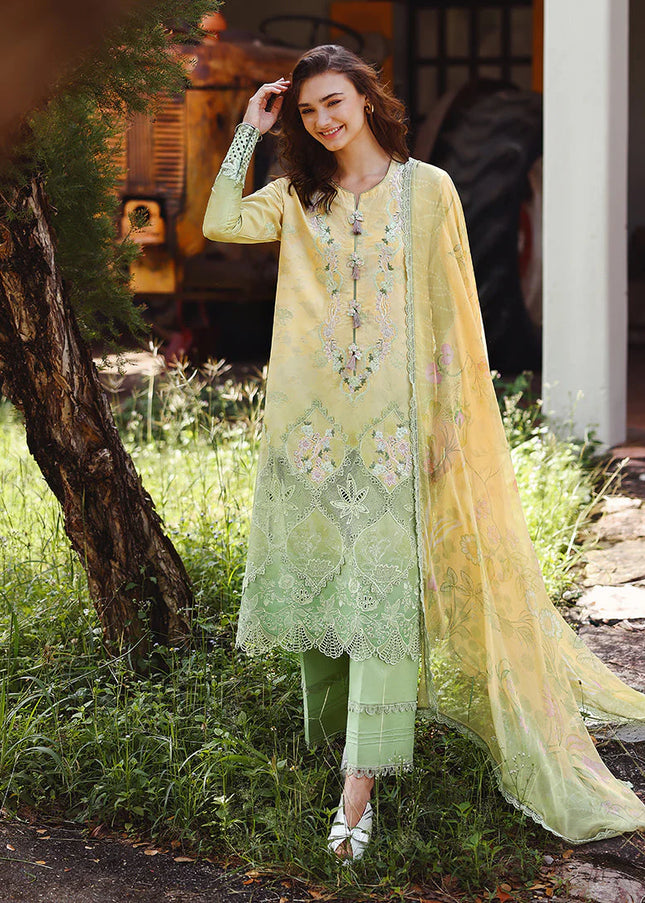 Mushq | SolaceOmbre Chikankari - Quiet Bloom