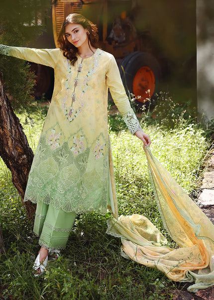 Mushq | SolaceOmbre Chikankari - Quiet Bloom