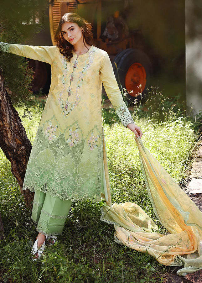 Mushq | SolaceOmbre Chikankari - Quiet Bloom