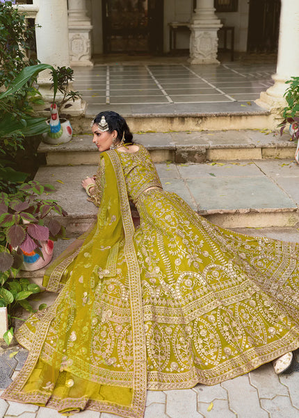 Green Embroidered Lehenga Choli